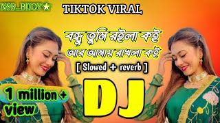 বন্ধু তুমি রইলা কই আর আমায় রাখলা কই। Bondu tumi roila koi dj rimix slowed reverb tiktok viral song [upl. by Nadya]