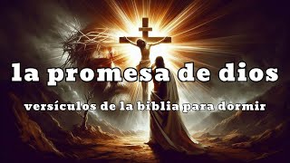 Las Promesas de Dios  Versiculos Biblicos Para Dormir  Biblia en audio [upl. by Engen]