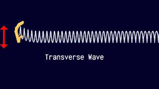 Longitudinal and Transverse Waves [upl. by Idaline]