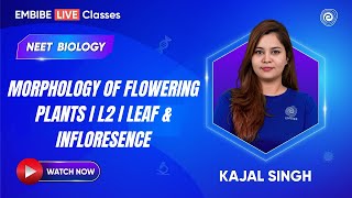 Morphology of Flowering Plants I L2 I Leaf amp Infloresence  Biology  Kajal Singh [upl. by Einnhoj]