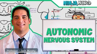 Neurology  Autonomic Nervous System [upl. by Kara-Lynn668]