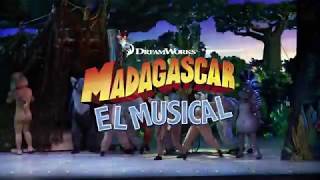 MADAGASCAR EL MUSICAL Teaser 02  Teatro de la Luz Philips Gran Vía [upl. by Anade]