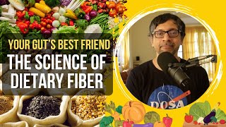 Your Guts Best Friend The Science of Dietary Fiber [upl. by Anniken]