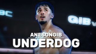 AnEsonGib UNDERDOG  Boxing Documentary [upl. by Ahselat]