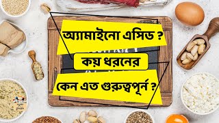 অ্যামাইনো এসিড কি  কয় ধরনের  কিসে কোথায় পাওয়া যায় amino Acid classification science education [upl. by Adliwa]