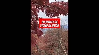 Los festivales de otoño en Japón [upl. by Hakilam]