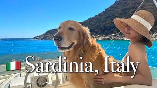 🇮🇹 My DOG travels to SARDINIA the most beautiful island in Italy 5 days SOUTH to NORTH [upl. by Sucrad667]