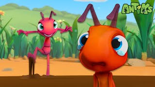 Stuck In The Mud  Antiks  Moonbug No Dialogue Comedy Cartoons for Kids [upl. by Ruhtracam669]