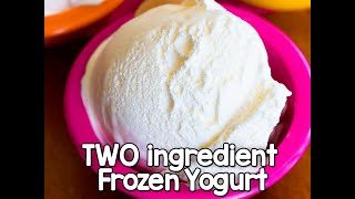 TWO ingredient frozen yogurt Yes really [upl. by Fredi]