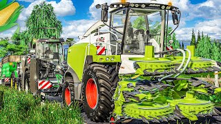 MAIS HÄCKSELN 13 Auftakt in Talbach CLAAS Jaguar und KRONE BigX rollen an  FARMING SIMULATOR 19 [upl. by Cotterell366]