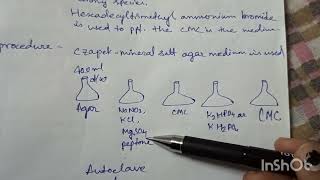 Cellulase producing microbe cellulose degradation practical [upl. by Rockafellow]