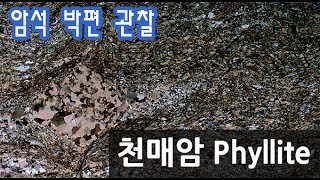 암석 천매암 박편 관찰하기 Phyllite thin section [upl. by Yezdnil]