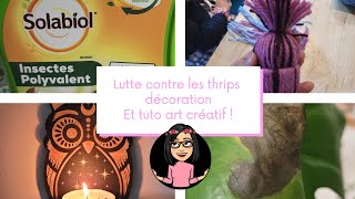 Lutte contre les thrips décoration et tuto art créatif  😍 [upl. by Cestar660]