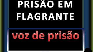 PRISÃO EM FLAGRANTE [upl. by Darce184]