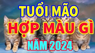 Tuổi Mão Hợp Màu Gì Năm 2024 Mang Lại Tài Lộc May Mắn I tv24h tuoimaohopmaugi2024 tuvi24h [upl. by Aindrea621]