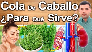 COLA DE CABALLO ¿Para Qué Sirve  Beneficios Para Tu Salud Y Belleza [upl. by Eiryt869]