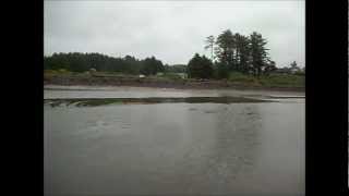 Clamming Netarts Bay Oregon [upl. by Undry]