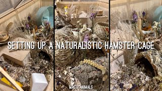 NATURAL HAMSTER CAGE SETUP 🐹  Mac’s Animals [upl. by Nichola]