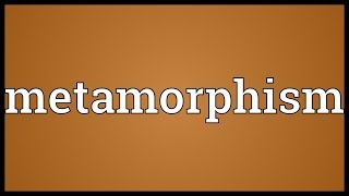 Metamorphism Meaning [upl. by Enois]