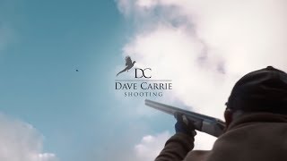 Dave Carrie  Difficult Windy Birds Dog Men and Characters High Bird Shooting [upl. by Oremor]