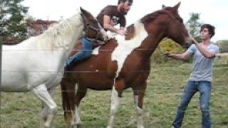 Dale Brown Horse Whisperer [upl. by Peih433]