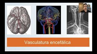 Vasculatura encefálica parte 1 [upl. by Allx]