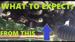 Honda Grom Performance Mods 6  Hard Racing SHIFT SHAFT SUPPORT amp ENGINE BRACE [upl. by Amaryllis]