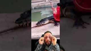 Beijou o crocodilo que virou moto Explicando sonho de Raimundo Neto HUMOR ANIMAL com o Biólogo [upl. by Noslen]