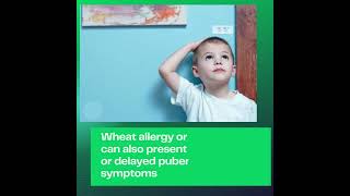 Understanding Celiac Disease vs Wheat Allergy [upl. by Arelc998]