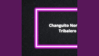 Changuito Norteño Tribalero [upl. by Kerrin]