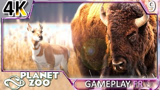 ENCLOS BISON amp ANTILOPES DAMÉRIQUE   DLC AQUATIQUE PLANET ZOO 4K60 Gameplay FR 9 [upl. by Annaeed]