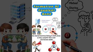 Formation of Covalent Bond covalentbond covalentbonding covalent shortvideo short shorts [upl. by Cirala]