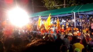 Carnaval Tampico 2017  Comparsa El Ave Fenix [upl. by Elisabetta]