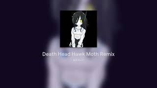 Death Head Hawk Moth Remix [upl. by Edrick]