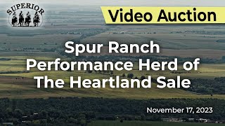 Spur Ranch  Performance Herd Of The Heartland Sale [upl. by Betthezel]