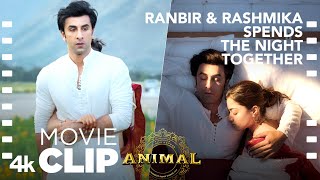 ANIMAL SCENE 6 Ranbir amp Rashmika Spends the Night Together😊Ranbir K RashmikaSandeep VBhushan K [upl. by Picker]