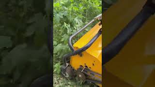 Weeding and grasscutting machine viralvideo decoration grass tools foryou [upl. by Guyon]