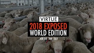 2018 Exposed  World Edition V10  The Worlds Meat Dairy amp Egg Industries Exposed [upl. by Ecital]