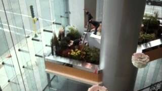 Lyndale Plant Services Interior Plantscapes [upl. by Sandberg]