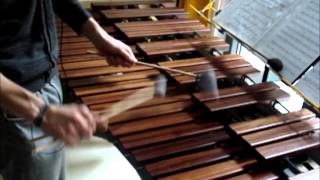 Alestorm  Keelhauled Marimba [upl. by Emanuele]