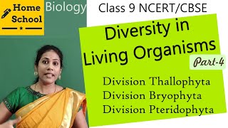 Diversity in Living Organisms class 9 Biology Part4 [upl. by Nissy]