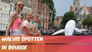 WALVIS SPOTTEN IN BRUGGE  Familie Meerschaert Vlog [upl. by Wilcox323]