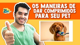 Como DAR REMÉDIO COMPRIMIDO aos Cachorros e Gatos 5 MANEIRAS EFICIENTES de administrar Medicamento [upl. by Odlanra]