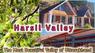 Harsil valley l The Most Beautiful Valley Of Uttarakhand l Harsil Uttarakhand [upl. by Fawnia768]