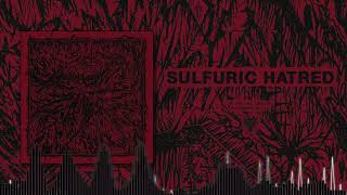 SULFURIC HATRED  Sulfuric Hatred Full Album [upl. by Naejamron]