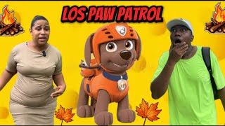 Encontramos Uno De Los Paw Patrol [upl. by Gosselin]