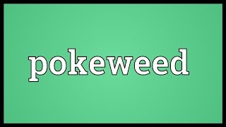 Pokeweed Meaning [upl. by Nede]