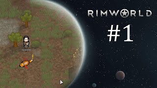 Trzech rozbitków i nieznany świat  Zagrajmy w Rimworld A11d na modach 1 [upl. by Ennaitsirhc]