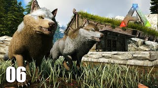 Agora tenho DOIS LOBOS e UMA CASA  Sobrevivendo em terras perigosas  MAPA VALGUERO  06  ARK [upl. by Hunter]