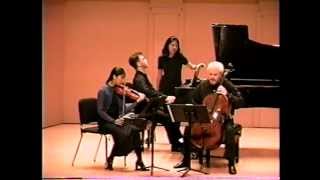 Schubert Piano Trio no 2 in E flat major op 100 D 929 [upl. by Karilynn]